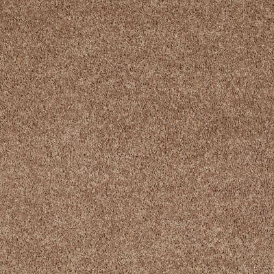 Shaw Floors Shaw Flooring Gallery Union City II 15′ Taffy 00704_5304G