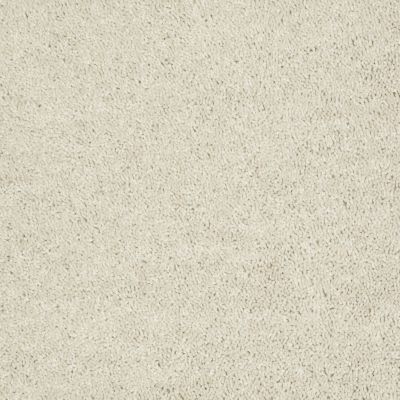 Shaw Floors Shaw Flooring Gallery Union City I 12′ Angel Cloud 00102_5305G
