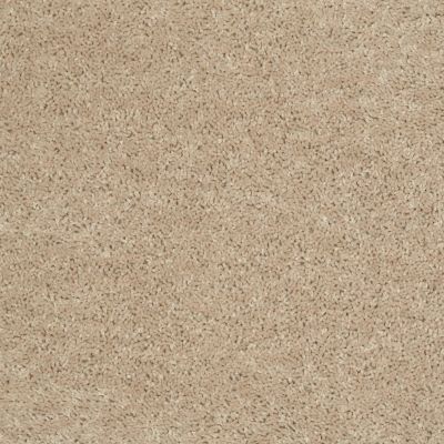 Shaw Floors Shaw Flooring Gallery Union City I 12′ Flax Seed 00103_5305G