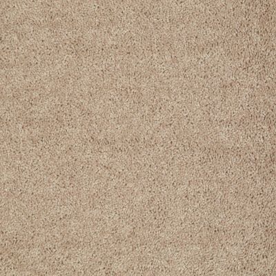Shaw Floors Shaw Flooring Gallery Union City I 12′ Tassel 00107_5305G