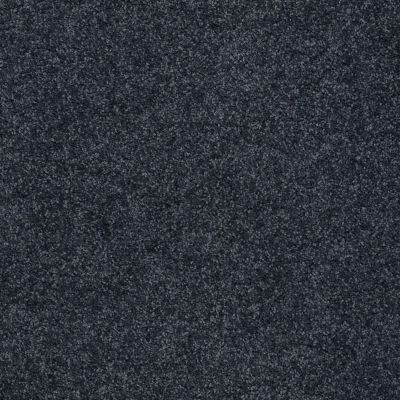 Shaw Floors Shaw Flooring Gallery Union City I 12′ Denim 00410_5305G