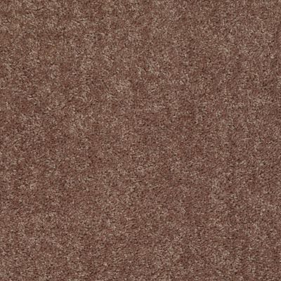 Shaw Floors Shaw Flooring Gallery Union City I 12′ Cattail 00702_5305G