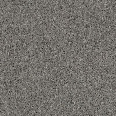 Shaw Floors Shaw Flooring Gallery Union City II 12′ Ink Spot 00501_5306G