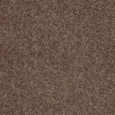 Shaw Floors Shaw Flooring Gallery Union City II 12′ Cattail 00702_5306G
