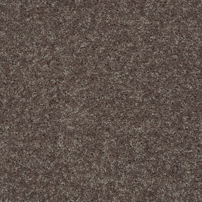 Shaw Floors Shaw Flooring Gallery Union City II 12′ Driftwood 00703_5306G