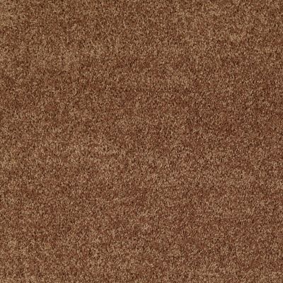 Shaw Floors Shaw Flooring Gallery Union City II 12′ Desert Sunrise 00721_5306G