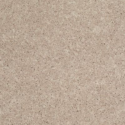 Shaw Floors Shaw Flooring Gallery Union City III 12′ Flax Seed 00103_5307G