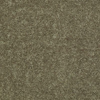 Shaw Floors Shaw Flooring Gallery Union City III 12′ Aloe 00300_5307G