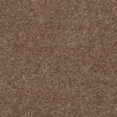 Shaw Floors Shaw Flooring Gallery Union City III 12′ Granola 00701_5307G