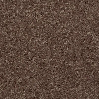 Shaw Floors Shaw Flooring Gallery Union City III 12′ Cattail 00702_5307G