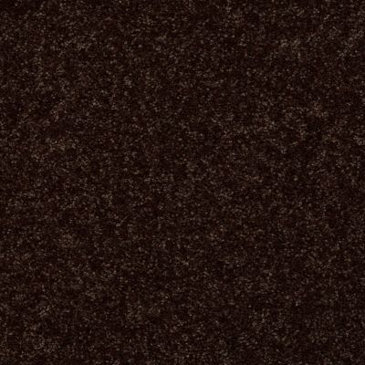 Shaw Floors Shaw Flooring Gallery Union City III 12′ Coffee Bean 00705_5307G