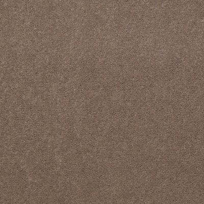 Philadelphia Commercial Extensions Taupe 00742_53080