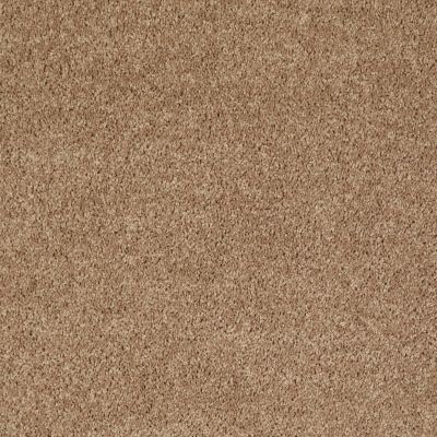 Shaw Floors Shaw Flooring Gallery Union City III 15′ Golden Echoes 00202_5308G