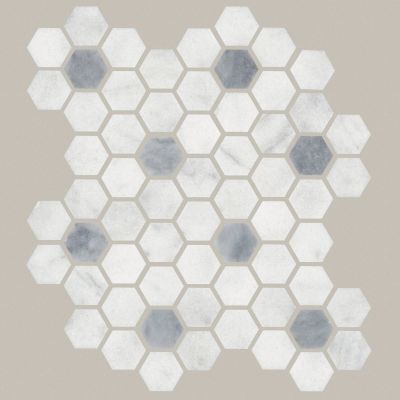 Shaw Floors Ceramic Solutions Noble Pursuit 1.4 Hex Crystal Grey 00150_530TS