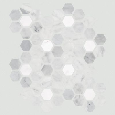 Shaw Floors Ceramic Solutions Noble Pursuit 1.4 Hex Carrara 00153_530TS