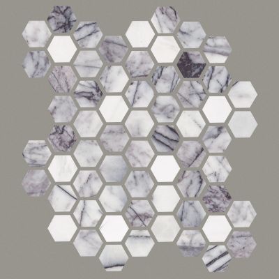 Shaw Floors Ceramic Solutions Noble Pursuit 1.4 Hex Lilac 00910_530TS