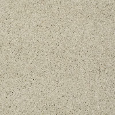 Shaw Floors Shaw Flooring Gallery Grand Image II Candlewick Glow 00101_5350G