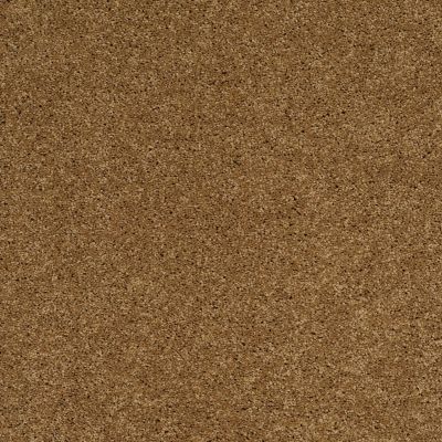 Shaw Floors Shaw Flooring Gallery Grand Image II Country Wheat 00701_5350G