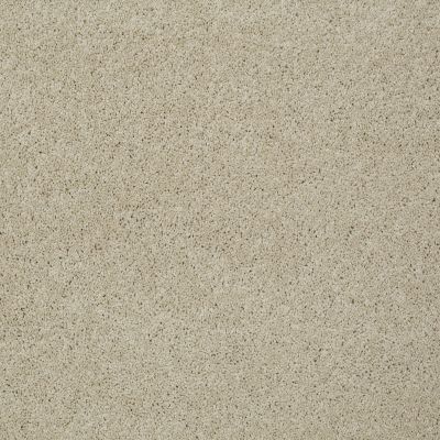 Shaw Floors Shaw Flooring Gallery Grand Image III French Linen 00103_5351G