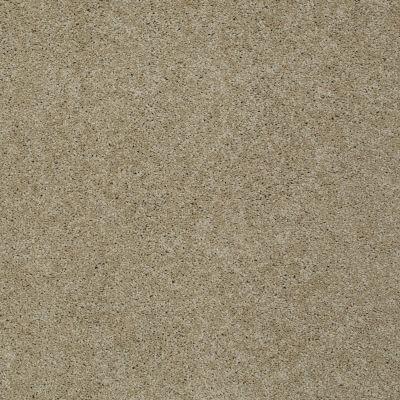 Shaw Floors Shaw Flooring Gallery Grand Image III Clay Stone 00108_5351G