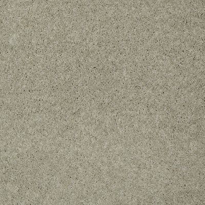 Shaw Floors Shaw Flooring Gallery Grand Image III City Scape 00109_5351G