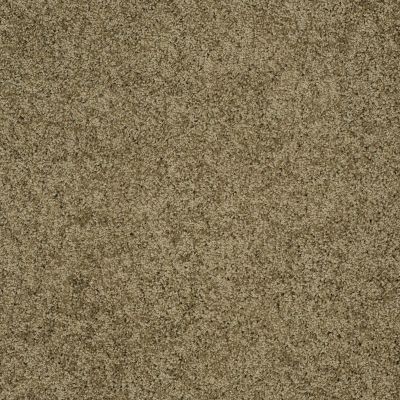 Shaw Floors Shaw Flooring Gallery Grand Image III Summerhouse 00301_5351G