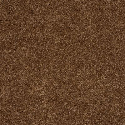 Shaw Floors Shaw Flooring Gallery Grand Image III Cabin 00726_5351G
