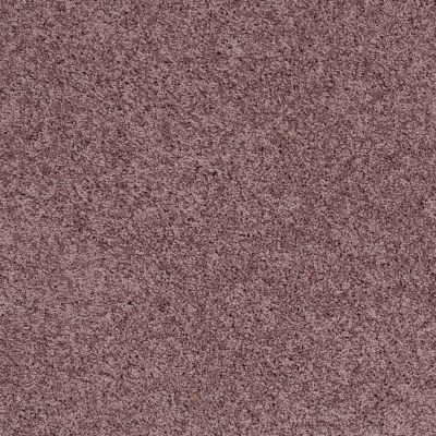 Shaw Floors Shaw Flooring Gallery Grand Image III Grape Fizz 00900_5351G
