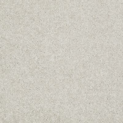 Shaw Floors Dyersburg II 15′ Taupe 55105_53856