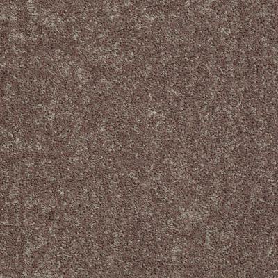 Shaw Floors SFA Mayville 12′ Shale 00703_53A04
