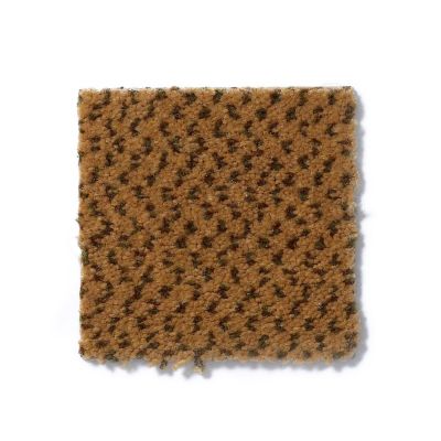 Philadelphia Commercial Next Generation Caramel 54097_97250