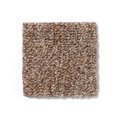 Shop Philadelphia Commercial Stonefield 24 Slc Sandstone 33200 54135 Carpet All Floors Design Centre