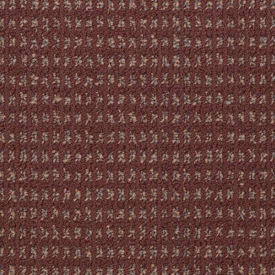 Philadelphia Commercial Today’s Style Russet 17600_54217