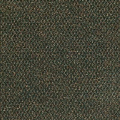 Philadelphia Commercial Succession Tile Wintergreen 84002_54268