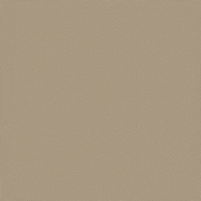 Philadelphia Commercial Color Accents Cornsilk 62111_54462