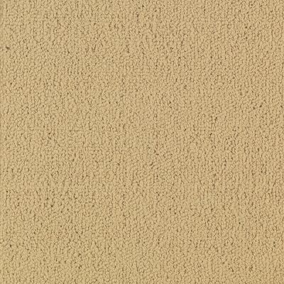 Philadelphia Commercial Color Accents Flax 62122_54462
