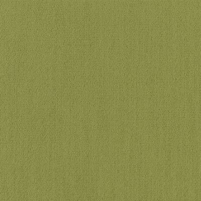 Philadelphia Commercial Color Accents Brite Green 62325_54462