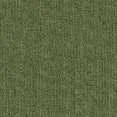 Philadelphia Commercial Color Accents Cactus 62370_54462