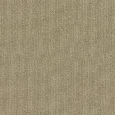 Philadelphia Commercial Color Accents Lichen 62544_54462