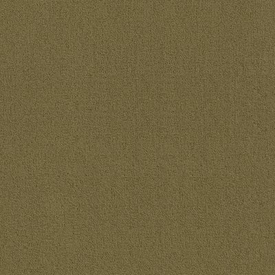 Philadelphia Commercial Color Accents Bl Aloe 62546_54584