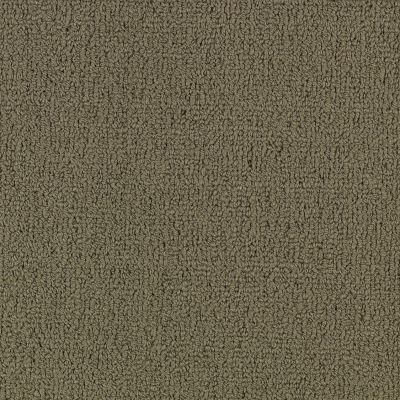 Philadelphia Commercial Color Accents Bl Portabella 62761_54584