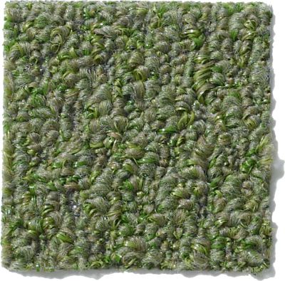Philadelphia Commercial Gardenscape (t) Holly Leaf 54629_00301