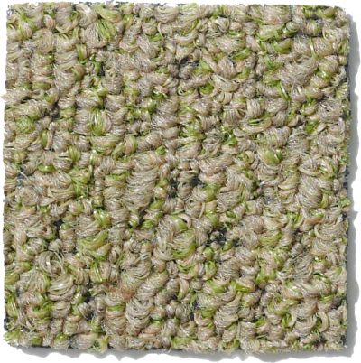 Philadelphia Commercial Gardenscape (t) Wheat Grass 54629_00700
