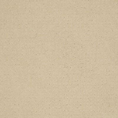 Shaw Floors Shaw Flooring Gallery Grand Image Pattern Parchment 00125_5468G