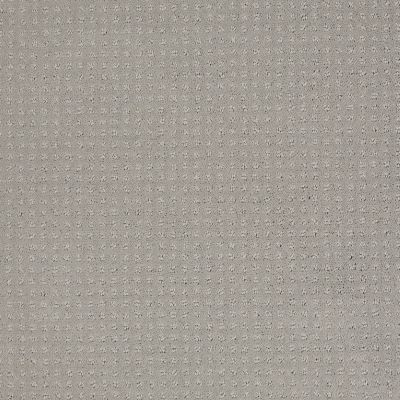 Shaw Floors Shaw Flooring Gallery Grand Image Pattern Sheer Silver 00500_5468G