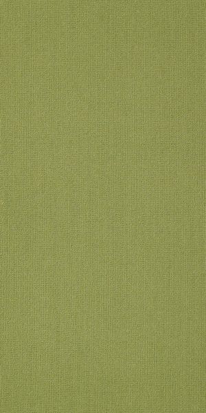 Philadelphia Commercial Color Accents 18 X 36 Brite Green 62325_54786