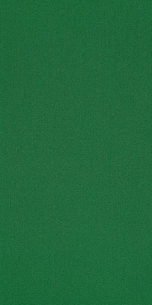 Philadelphia Commercial Color Accents 18 X 36 Dark Green 62375_54786