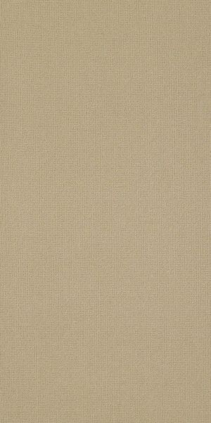 Philadelphia Commercial Color Accents 18 X 36 Cashmere 62706_54786
