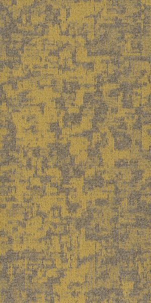 Philadelphia Commercial Modern Terrain Arid Monadnock 00220_54848