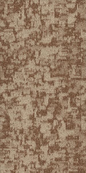 Philadelphia Commercial Modern Terrain Arid Mesa 00801_54848